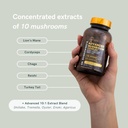 dr-sosnowskis-bioactive-x10-mushroom-com-3.jpg