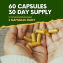 imuty-plus-support-immune-system-dietary-6.jpg