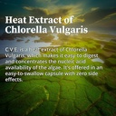 biopure-cve-chlorella-vulgaris-extract-n-5.jpg