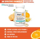 immunity-and-gut-health-bundle---34-days-4.jpg