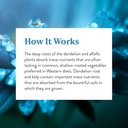 natures-sunshine-herbal-trace-minerals-1-6.jpg