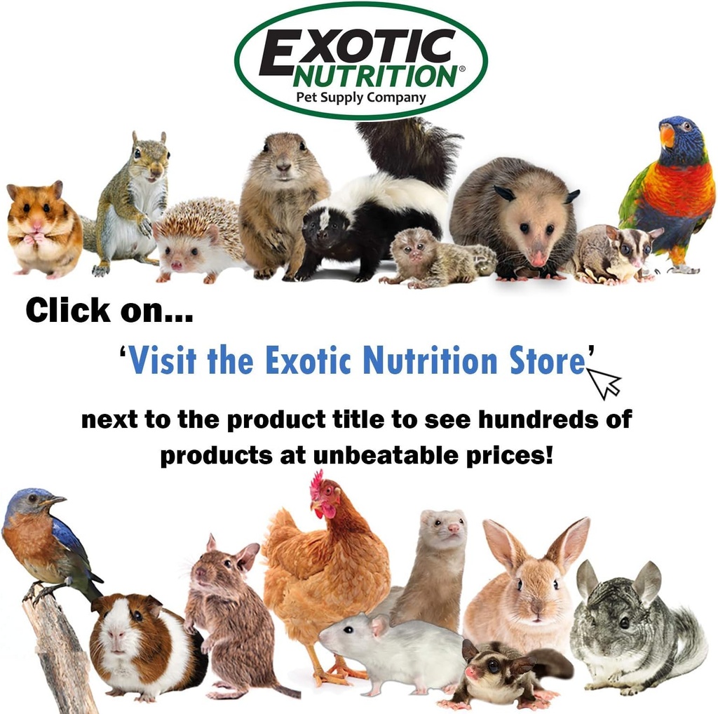 hedgehog-booster---complete-multivitamin-5.jpg