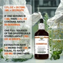 horsetail-alcohol-free-extract-glycerite-5.jpg