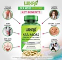 organic-sea-moss-capsules---bladderwrack-3.jpg