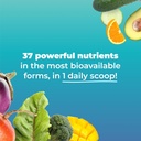 multiabsorbdaily-essential-multi-nutrien-3.jpg