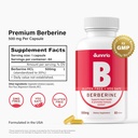 berberine-hcl-500mg---supports-healthy-m-2.jpg