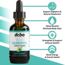 lung-detox-respiratory-health-drops-chlo-3.jpg