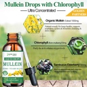 mullein-drops-for-lungs-powerful-lung-cl-2.jpg