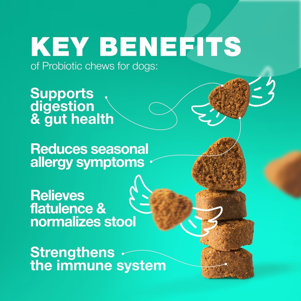 probiotics-for-dogs---support-gut-health-3.jpg