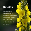 effective-nutra-9in1-mullein-gummies-lun-6.jpg