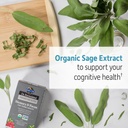 garden-of-life-dr-formulated-memory-focu-2.jpg
