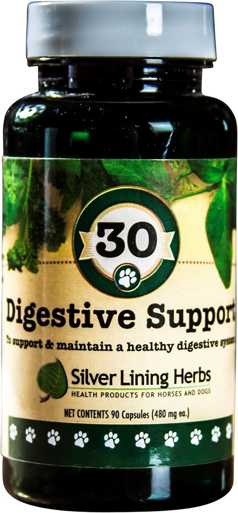 silver-lining-herbs-dog-digestive-suppor-2.jpg
