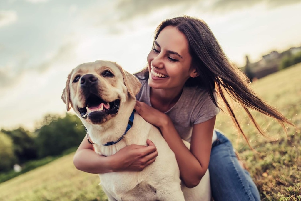 dog-urinary-incontinence-treatment---dog-2.jpg