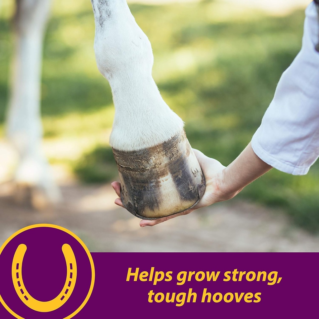 horse-health-shur-hoof-hoof-supplement-f-3.jpg