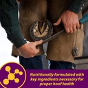 horse-health-shur-hoof-hoof-supplement-f-4.jpg
