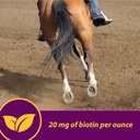 horse-health-shur-hoof-hoof-supplement-f-5.jpg