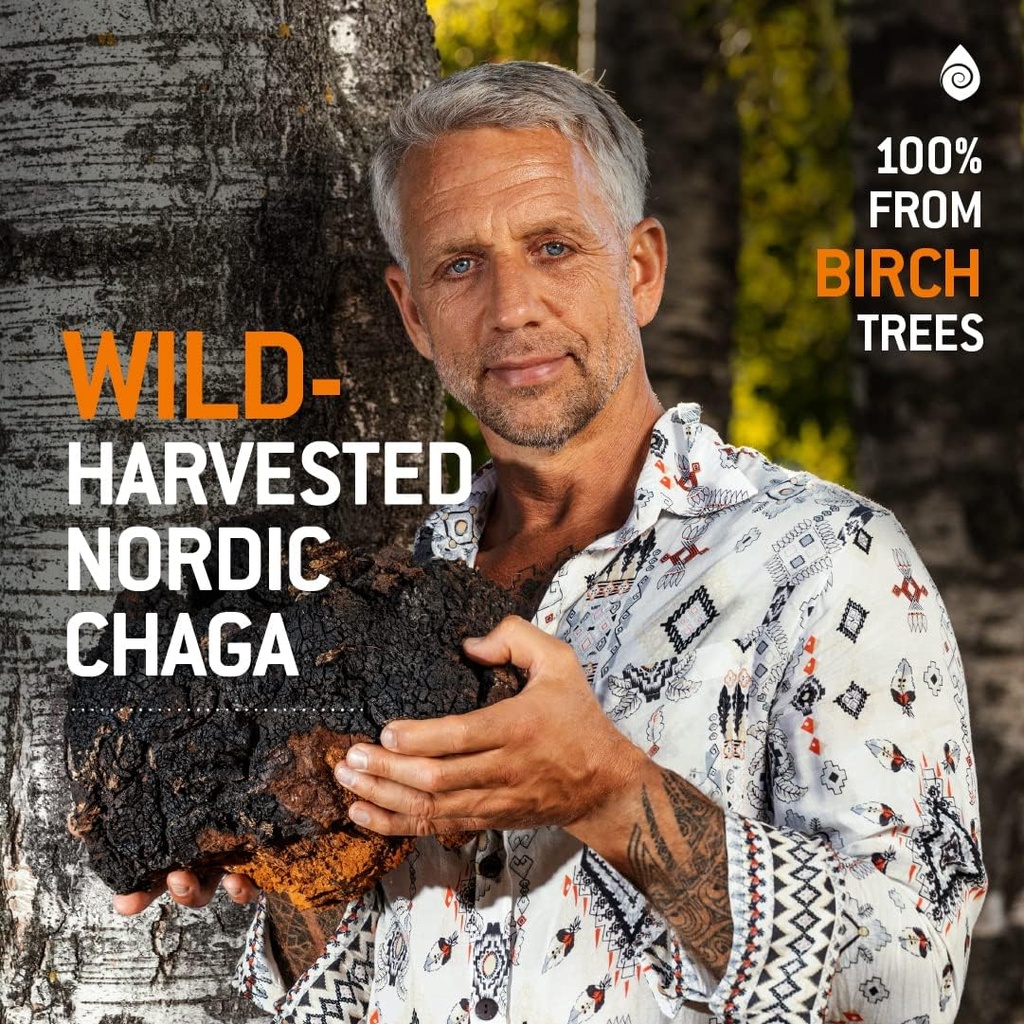 100-real-wild-chaga-mushroom-aged-black--3.jpg