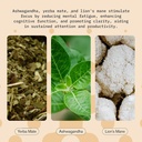 focus-drink-for-concentration--contains--6.jpg