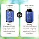 neurogan-liposomal-fisetin-500mg-per-ser-5.jpg