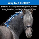 su-per-e-8000-horse-antioxidant-suppleme-5.jpg