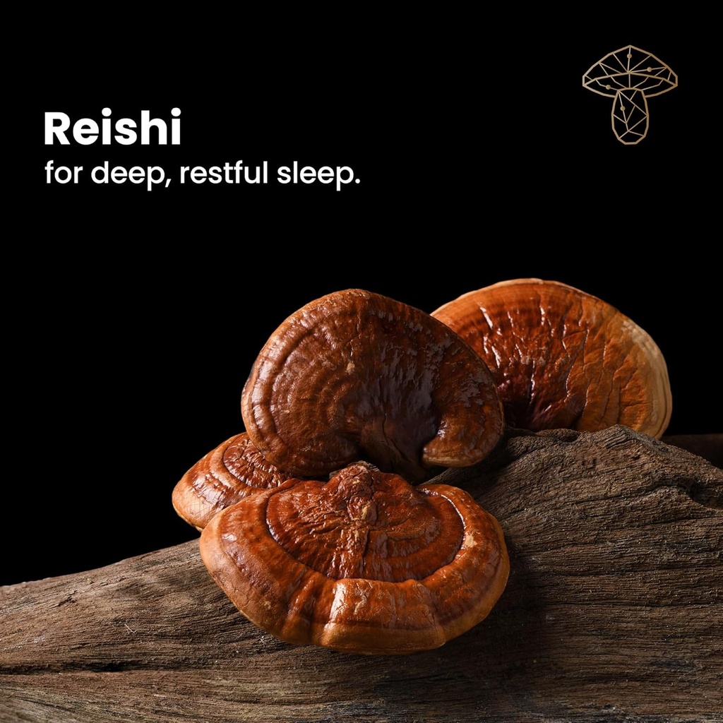 sleep---natural-sleep-supplement-with-re-4.jpg