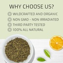 evergreen-herbs-gobernadora-chaparral-10-5.jpg