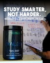 dialed-focus-memory-learning-productivit-6.jpg