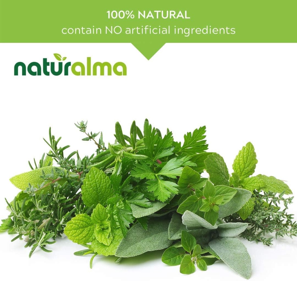 naturalma-ginkgo-ginkgo-biloba-leaf-alco-4.jpg