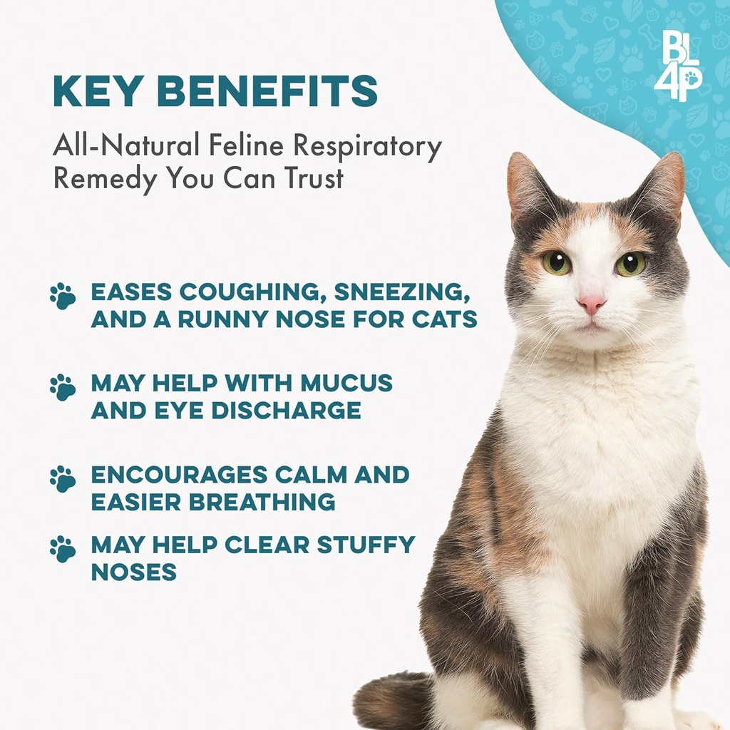 cat-respiratory-comfort-supplement---nat-2.jpg