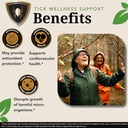 zenmen-immune-support-bundle-japanese-kn-2.jpg