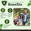 zenmen-immune-support-bundle-japanese-kn-5.jpg