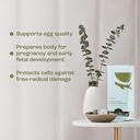 birdbe-the-power-prenatal-for-females-wi-3.jpg