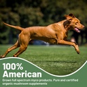 aloha-medicinals---k9-immunity-plus---po-6.jpg