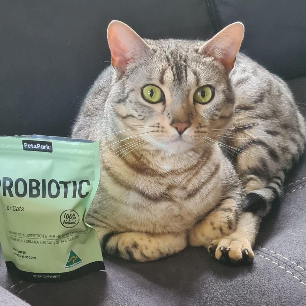 probiotic-for-cats-kittens---cat-probiot-5.jpg