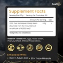 generic-beepwell-shilajit-resin-pure-org-2.jpg