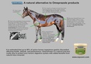 equsani-gastropower-digestible-free-fatt-2.jpg