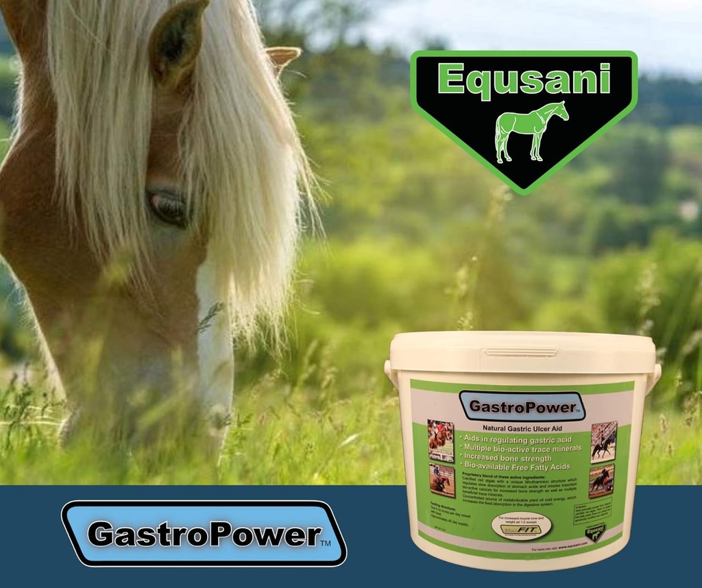 equsani-gastropower-digestible-free-fatt-3.jpg