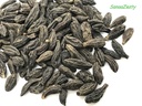terminalia-chebula-retz-indian-raw-whole-4.jpg