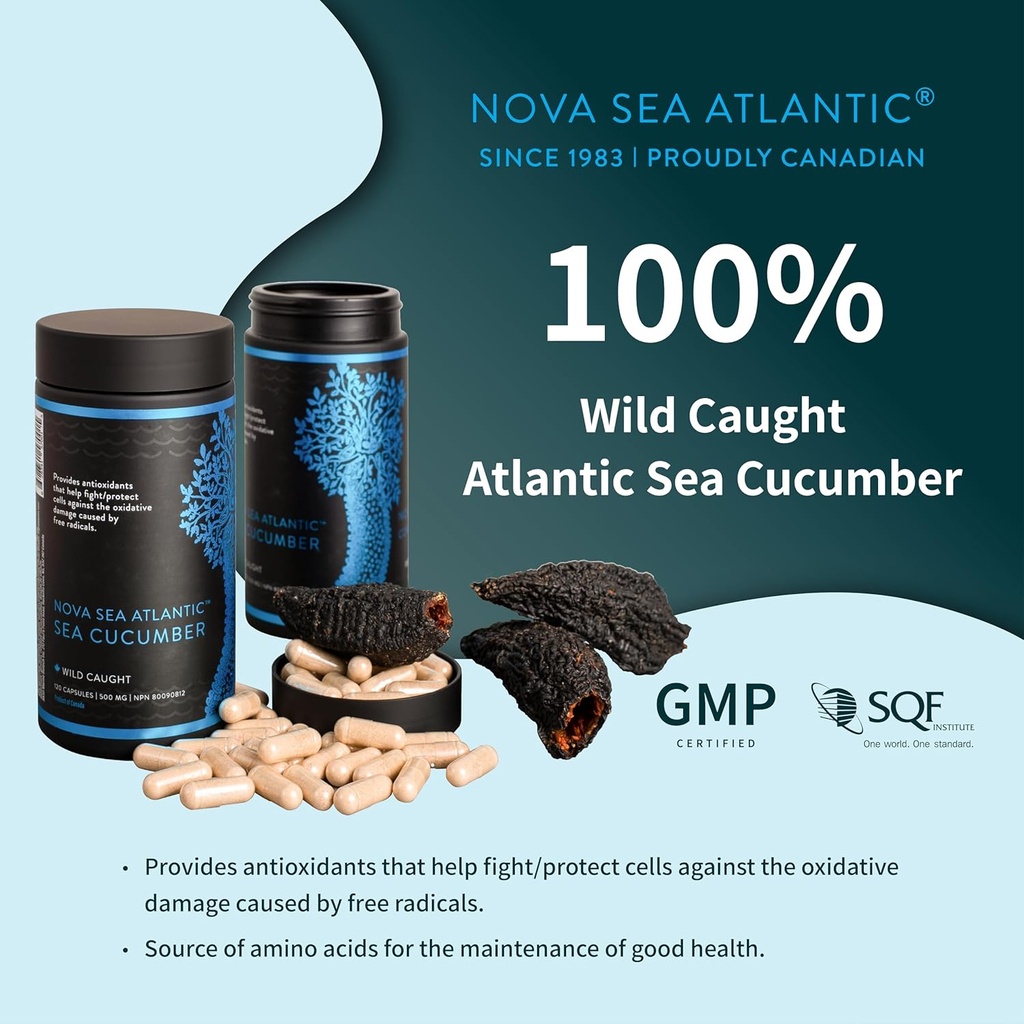 sea-cucumber-supplement-wild-caught-sea--2.jpg
