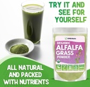 xprs-nutra-organic-alfalfa-powder---prem-4.jpg
