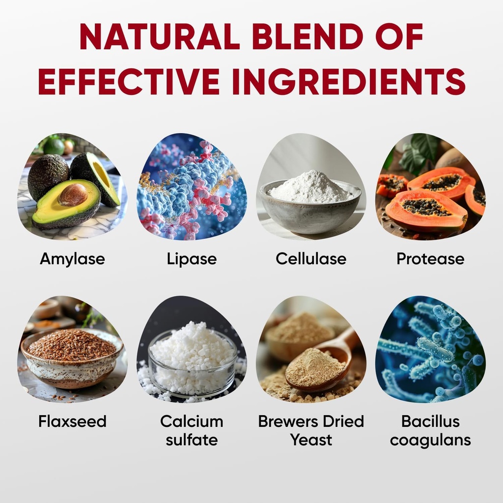 probiotics-for-dogs-digestive-health---p-3.jpg