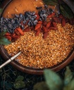 natural-bee-pollen-from-costa-rica---100-3.jpg