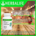 herbalife-quickstart-cookies-n-cream-kit-4.jpg