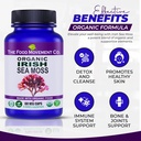 irish-sea-moss-organic-prebiotic-food-ov-2.jpg