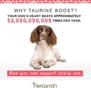 herbsmith-taurine-boost---cardiac-and-he-2.jpg
