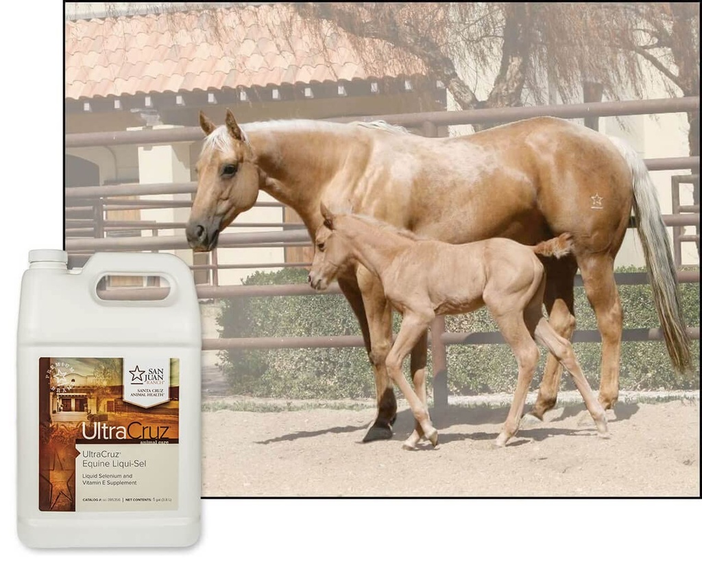 ultracruz-equine-liqui-sel-1-gallon-3.jpg