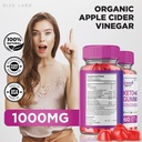 rize-labs---summer-ketoacv-gummies---sum-5.jpg