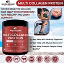 wholesome-wellness-multi-collagen-protei-5.jpg