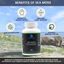 sea-moss-with-irish-moss-burdock-root-bl-6.jpg