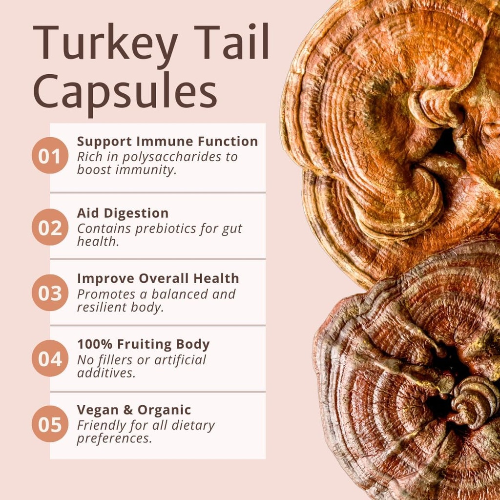 magic-dozeTM-turkey-tail-mushroom-capsul-3.jpg